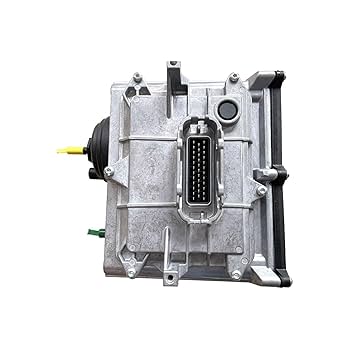 ふぐり2 Amazon.com: RAPIHIDAN 130306380 Fuel Filter Assembly